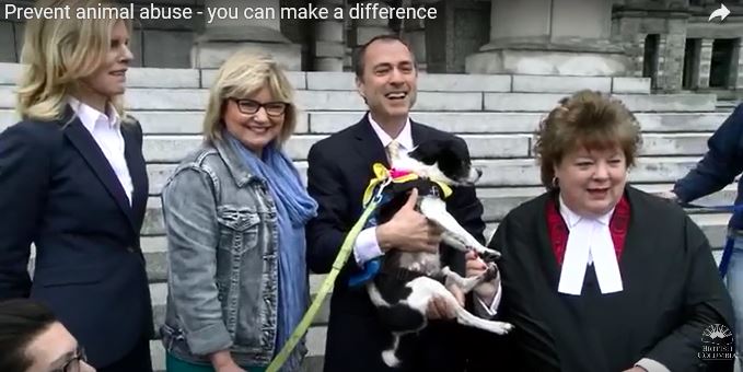 bc leg spca