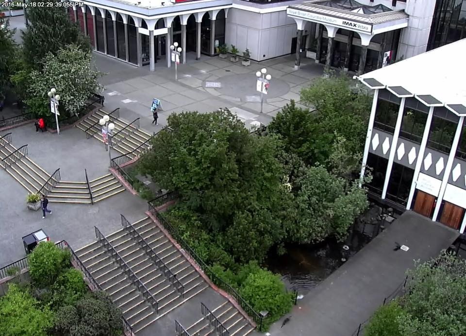 BCGEU's president says the Royal BC Museum is one of the public-facing sites affected by the strike. 