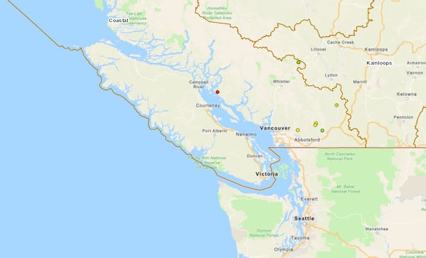 Vancouver Island wildfire activity drops to zero after early spring fires